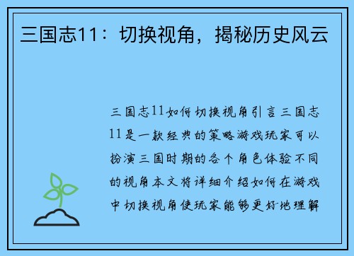三国志11：切换视角，揭秘历史风云